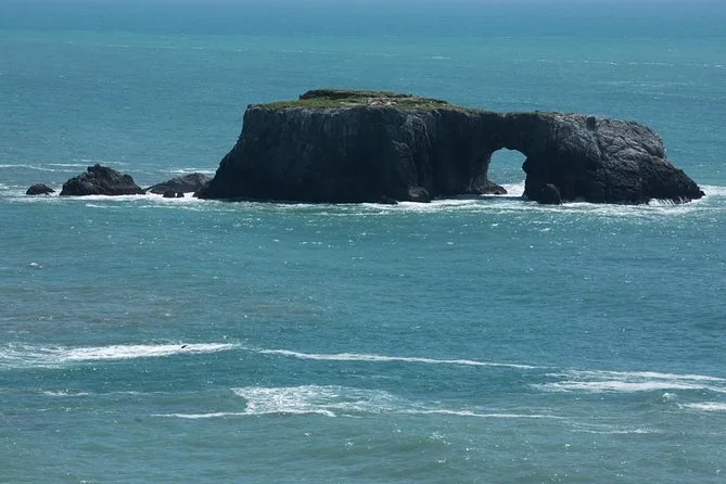 Séquoias, Bodega Bay et Sausalito en une journée