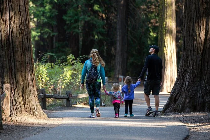 Une famille marchant main dans la main sur un chemin goudronné entre des séquoias géants