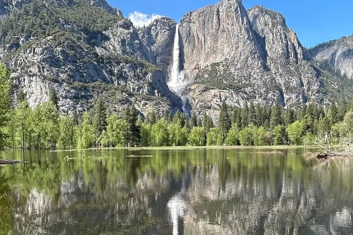 Yosemite Falls und Granitwände spiegeln sich in einer überfluteten Frühlingswiese