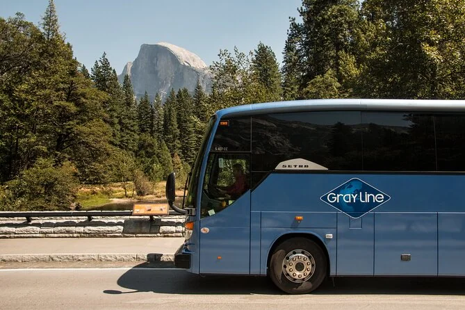 Un autocar d'excursion garé sur une route de la vallée de Yosemite, avec Half Dome derrière les arbres